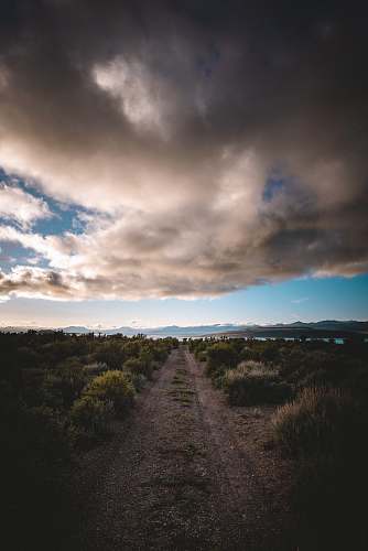 gravel dirt way beside plant field road